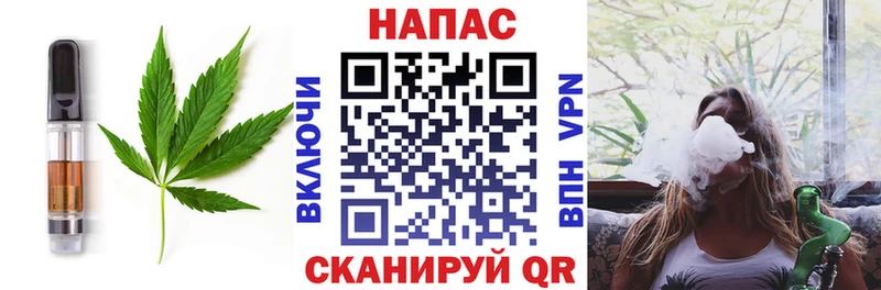 Купить закладки  Питкяранта  Еда ТГК конопля 