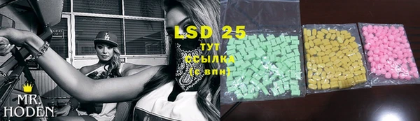 прущие грибы Вязьма