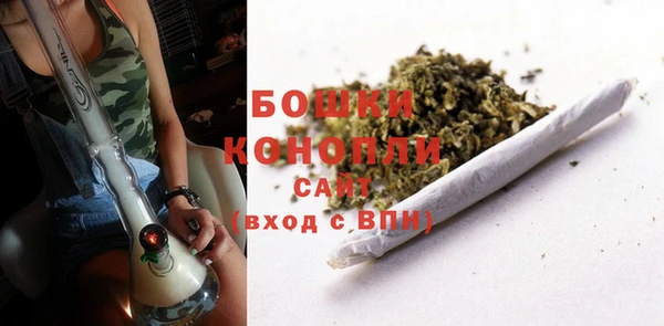 прущие грибы Вязьма
