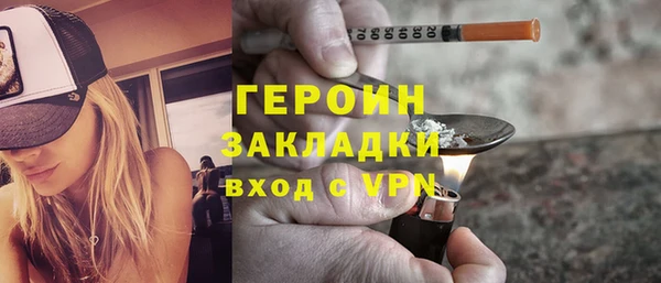 прущие грибы Вязьма