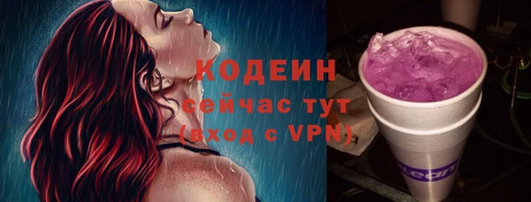 прущие грибы Вязьма