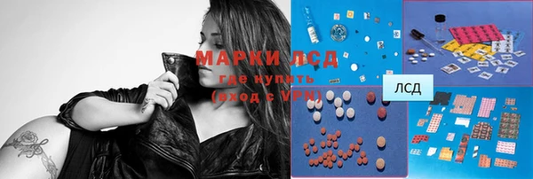 СК Вязники