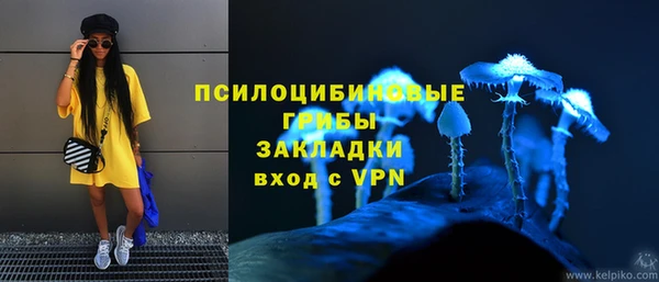 прущие грибы Вязьма