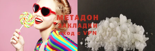 прущие грибы Вязьма