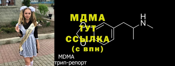 прущие грибы Вязьма