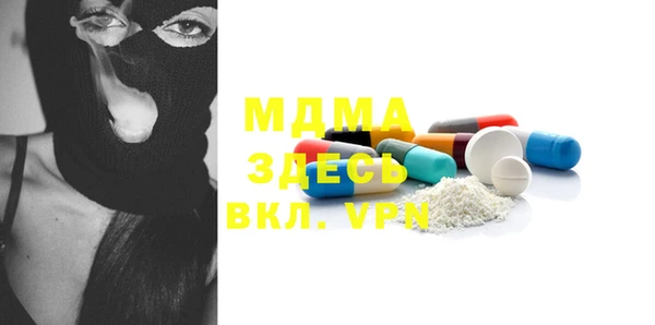 прущие грибы Вязьма