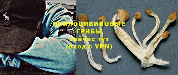 mdma Вяземский