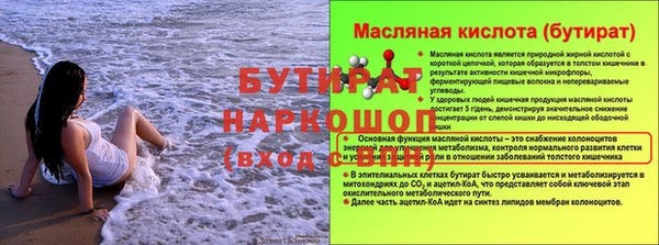 прущие грибы Вязьма