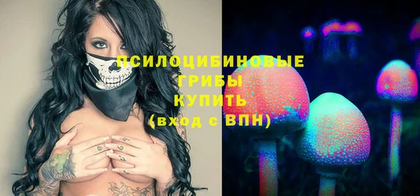 СК Вязники