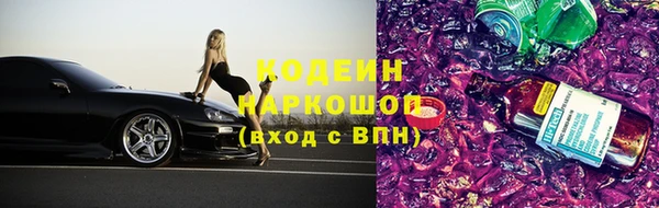 прущие грибы Вязьма