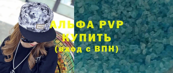 прущие грибы Вязьма