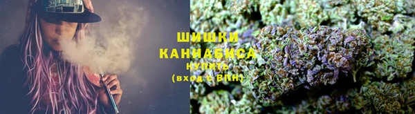 прущие грибы Вязьма