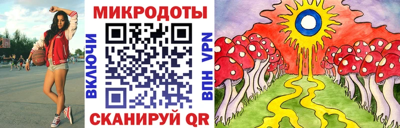 Купить где Питкяранта Галлюциногенные грибы Magic Shrooms