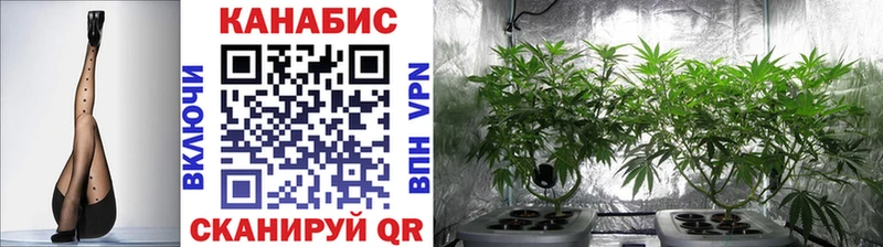 Купить закладки  Питкяранта  Канабис LSD WEED 